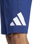 adidas M Bl Sj Sho Badehose