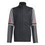 adidas Sq25 Tr Jkt Y - black/tegrfo/purrub
