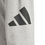 adidas M Bl Ft Pt Jogginghose