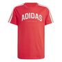 adidas J C Colleg Tee - purrub