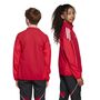 adidas Tiro 25 Competition Regenjacke