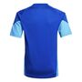 adidas Tiro25C Tr Jsyy Trainingsshirt
