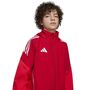adidas Tiro25C Aw Jkty - tepore/purrub