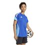 adidas Tiro 25C Tr Jsyw Trainingsshirt
