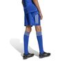 adidas Tiro 25 C M Shoy Shorts