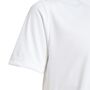 adidas B Club Tee - white