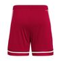 adidas Squa25 Sho M Fu�ballshorts