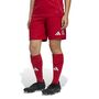 adidas Tiro 25 C M Shoy Fu�ballshorts