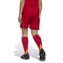 adidas Tiro 25 C M Shoy Fu�ballshorts