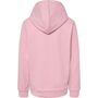 Hummel hmlCUATRO HOODIE - ZEPHYR