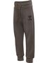 Hummel Hmldallas pants - major brown