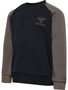 Hummel Hmlwulbato sweatshirt - major brown