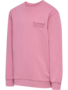 Hummel Hmljr base sweat set - polignac