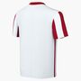 Nike Y Kinder Nk Df Strp Dvsn V Jsy Ss - white/university red/black