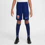 Nike Nor Y Nk Df Stad Short Hm - blue void/white