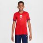 Nike Nor Y Nk Df Stad Jsy Ss Hm - university red/blue void/white