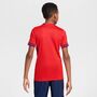 Nike Nor Y Nk Df Stad Jsy Ss Hm - university red/blue void/white
