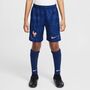 Nike Fff Y Nk Df Stad Short Hm - blue void/lt madder root