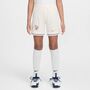Nike Fff Y Nk Df Stad Short Aw - pale ivory/lt madder root