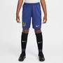 Nike Atm Y Nk Df Short Stad Aw - binary blue/vibrant yellow