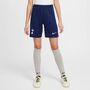 Nike Thfc Y Nk Df Short Stad Hm - binary blue/lt iron ore/white
