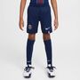 Nike Psg Paris Saint-Germainy Nk Df Short Stad Hm Fu�ballshorts