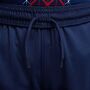 Nike Psg Paris Saint-Germainy Nk Df Short Stad Hm Fu�ballshorts