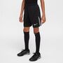 Nike Psg Paris Saint-GermainY Nk Df Short Stad Gk - black/smoke grey/white