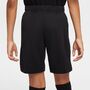 Nike Psg Paris Saint-GermainY Nk Df Short Stad Gk - black/smoke grey/white