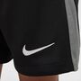 Nike Psg Paris Saint-GermainY Nk Df Short Stad Gk - black/smoke grey/white