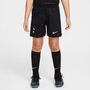 Nike Thfc Lk Nk Df Kit Stad Aw - black/lt iron ore