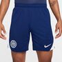 Nike Inter M Nk Df Strk Short Kz - blue void/ghost aqua/ghost aqua