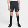 Nike Cfc Y Nk Df Strk Short Kz - outdoor green/outdoor green/phantom