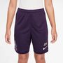 Nike Km K Nk Df Acd25 Short -Pd - grand purple/grand purple/metallic