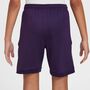 Nike Km K Nk Df Acd25 Short -Pd - grand purple/grand purple/metallic