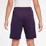 Nike Km K Nk Df Acd25 Short -Pd - grand purple/grand purple/metallic
