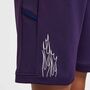 Nike Km K Nk Df Acd25 Short -Pd - grand purple/grand purple/metallic