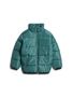 Hummel stsTHOR JACKET - EVERGREEN - 104 - evergreen