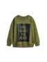 Hummel stsCORNELIUS SWEATSHIRT - OLIVE BRANCH - 110 - olive branch
