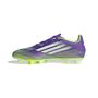 adidas F50 Club Fg/Mg - purrus/ftwwht/luclem