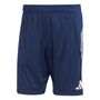 adidas Afc Tr Sho - nindig/blablu