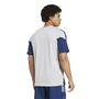 adidas Afc Tee - gretwo/nindig