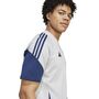 adidas Afc Tee - gretwo/nindig