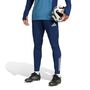 adidas Afc Tr Pnt - nindig/blablu
