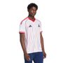 adidas Afc Us Shirt - white