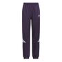 adidas Crazylite Pant - aurplu/white