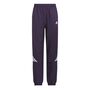 adidas Crazylite Pant - aurplu/white