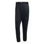 adidas D4T Cw Pants - black 