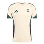 adidas Juve Eu Tr Jsy - ecrtin