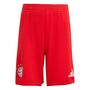 adidas Fcb H Mini - red